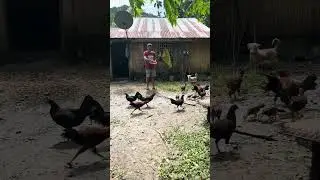 Province Life