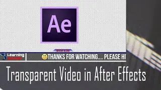 How to render Transparent Video in After Effects