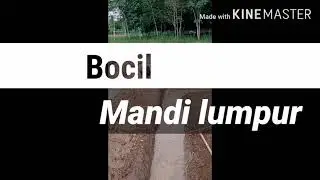 Bocil mandi lumpur