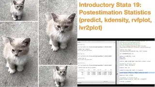 Introductory Stata 19: Postestimation Statistics Part 1 (predict, kdensity, rvfplot, lvr2plot)