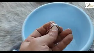 خاتم فضه  | تنظف خاتم فضه |  كيفية تنظيف و تلمع خواتم الفضه |  How to Clean a Silver Ring