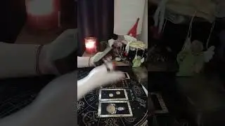 🤫🌞ЧТО БЫ ОН ХОТЕЛ СКАЗАТЬ В ЭТУ МИНУТУ..😼🐾