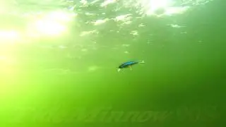 DUO`s Lures in Motion #31: Tide Minnow 90S