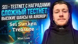 SEI NETWORK AIRDROP - SUNKEN TREASURE / КАК У ARBITRUM? / КРИПТОВАЛЮТА