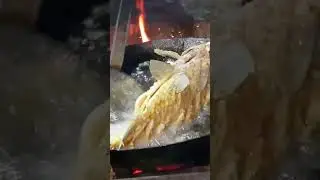 27 августа 2024 г.