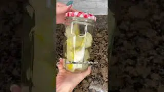 How To Make DIY Garbage Disposal Pods