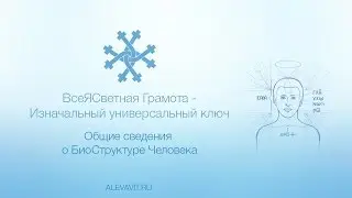 Общие сведения о БиоЭнергоСтруктуре Человека