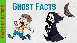 Ghost Facts | Animation | Facts of Nature