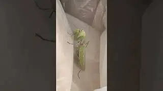 Когда твой цемент, больше не твой.
