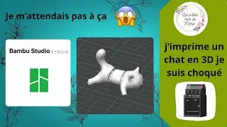 J'imprime un chat en 3D je suis choqué