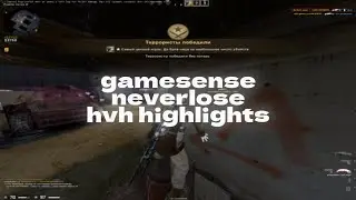 hvh highlights ft. gamesense/neverlose | FREE CFG | BEST LUA | 240fps