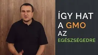 Így hat a GMO az egészségünkre