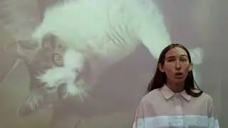 2 кошка