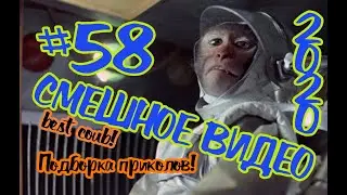 #подборкаприколов #58 #лучшиеприколы2020 #смешноевидео2020 #coub #киноприколы #любительскоевидео