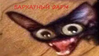 Бархатные разборки на районе 🤑🤑🤑