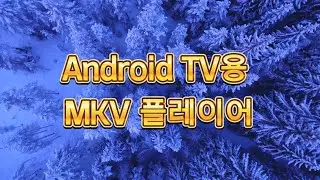 Android TV/Google TV/SHIELD TV용 MKV/MP4 플레이어