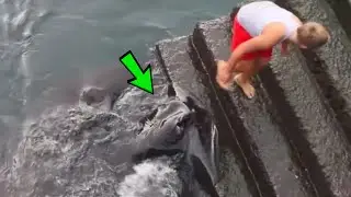 The boy was feeding the fish in the sea. All of a sudden, THIS popped up!
