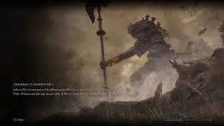 [Elden Ring SOTE] More final boss attempts