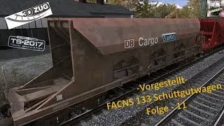 Vorstellung / FACNS 133 Schüttgutwagen / 3DZug / TS 2017 / Folge 11