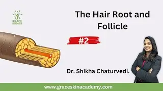 The Hair Root and Follicle | Grace Skin Academy #part2