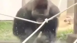 Батя пришел с работы уставший, голодный и злой)