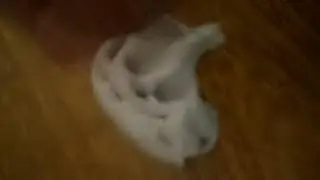 Slime casero con plástico la blanca y nada mas