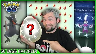 It took us *THIS* many hatches to get Salandit! Shiny hatch & Shiny Therian Thundurus! (Pokémon GO)