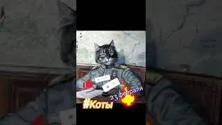 Смешные коты / 23 февраля / приколы