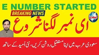 Saudi Arabia Visa Application Guide: E Number Started || Emaan Travels Chawinda