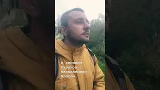6 ДЕНЬ ВЛАСТЕЛИНА КОЛЕЦ
