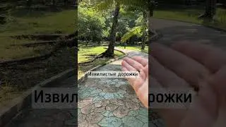 Извилистые дорожки в саду. Что нужно учесть?