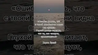 22 августа 2024 г.