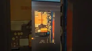 #trending TEAT POINT HONOR V30 (OXF) #no 1