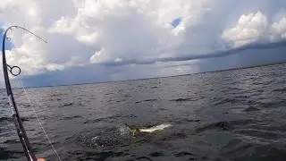 Trolling Choctawhatchee Bay for a Big Bite