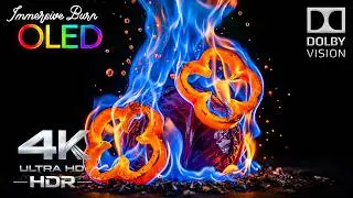 Immersive OLED Burn In Test 🔥 | 4K HDR 240FPS Dolby Vision (8K/4K Video TV)