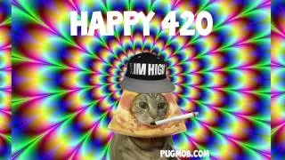 Happy420 the pizzacat pugmob x officialgenius