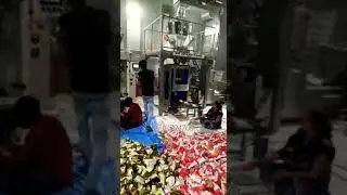 Besan Maida Aata Suji Rava Daliya Packing Machine with Servo Auger Filler Packing Machine