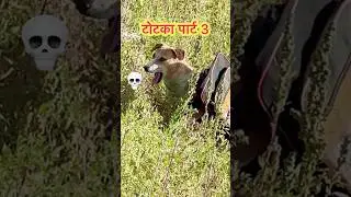 टोटका पार्ट 3 😱💀☠️ By Upboyraj comedy 🤣🤣