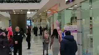 Новый зоомагазин Зооград в ТЦ 