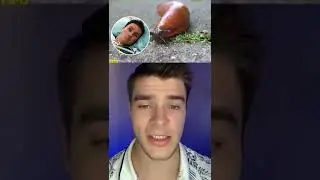 Этот парень съел гусеницу и вы будете в шоке что с ним случилось #shorts