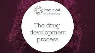 The drug development process