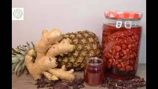 Tepache com Hibisco - Chef Ana Lemgruber (2023)