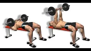 Bodybuilding Exercises for Beginners