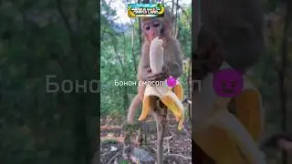 Правильно текст написал?) 😎 #music #dj #guitar #remix #love #monkey #rek #прикол #а4 #мемы