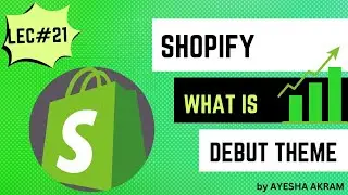 What is Shopify Debut Theme - Shopify Debut Theme Customization.