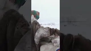 🤔 Как одеваются коренные народы Крайнего Севера, чтобы не замерзнуть