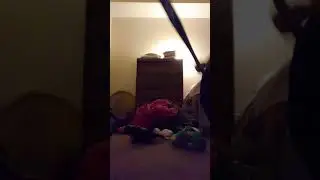 dead elf on the shelf