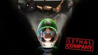 LUIGI NO
