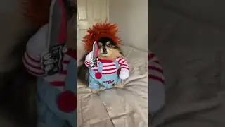Сама же выбирала!!