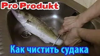 Как чистить судака